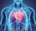 Роль та місце кардіопротекції з використанням сучасних інфузійних препаратів у періопераційному періоді