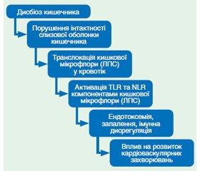 Характер порушень кишкової мікрофлори при кардіоваскулярних захворюваннях