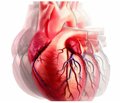 Оновлення 2021 року Консенсусу експертів Американського коледжу кардіологів (АСС) 2017 щодо шляхів оптимізації лікування серцевої недостатності: відповіді на 10 ключових питань про серцеву недостатність зі зниженою фракцією викиду лівого шлуночка
