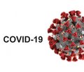 COVID-19: новий етіологічний фактор хвороби Грейвса?