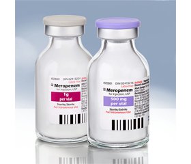 Carbapenems in clinical practice