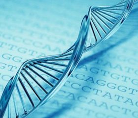 23andMe сравнила предсказательную силу генетических тестов и семейных историй