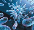 Бактерии, резистентные к антибиотикам, становятся глобальной проблемой