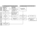Safety of Cerebrolysin for neurorecovery after acute ischemic stroke: a systematic review and meta-analysis of twelve randomized-controlled trials