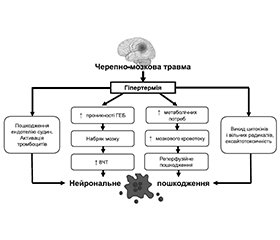 Гіпертермія як фактор вторинного пошкодження головного мозку при черепно-мозковій травмі