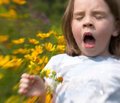 Роль филаггрина в аллергологии детского возраста