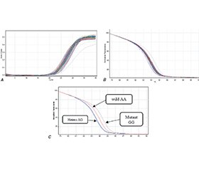 Рівень свинцю й цинку в крові та зв’язок із поліморфізмом гена металотіонеїну при хронічній нирковій недостатності