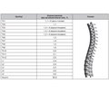 Study of the stress-strain state of the spine model for various methods of treatment for fractures of the bodies of the thoracic spine