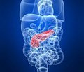 Патоморфогенез синдрома кишечной недостаточности при остром панкреатите